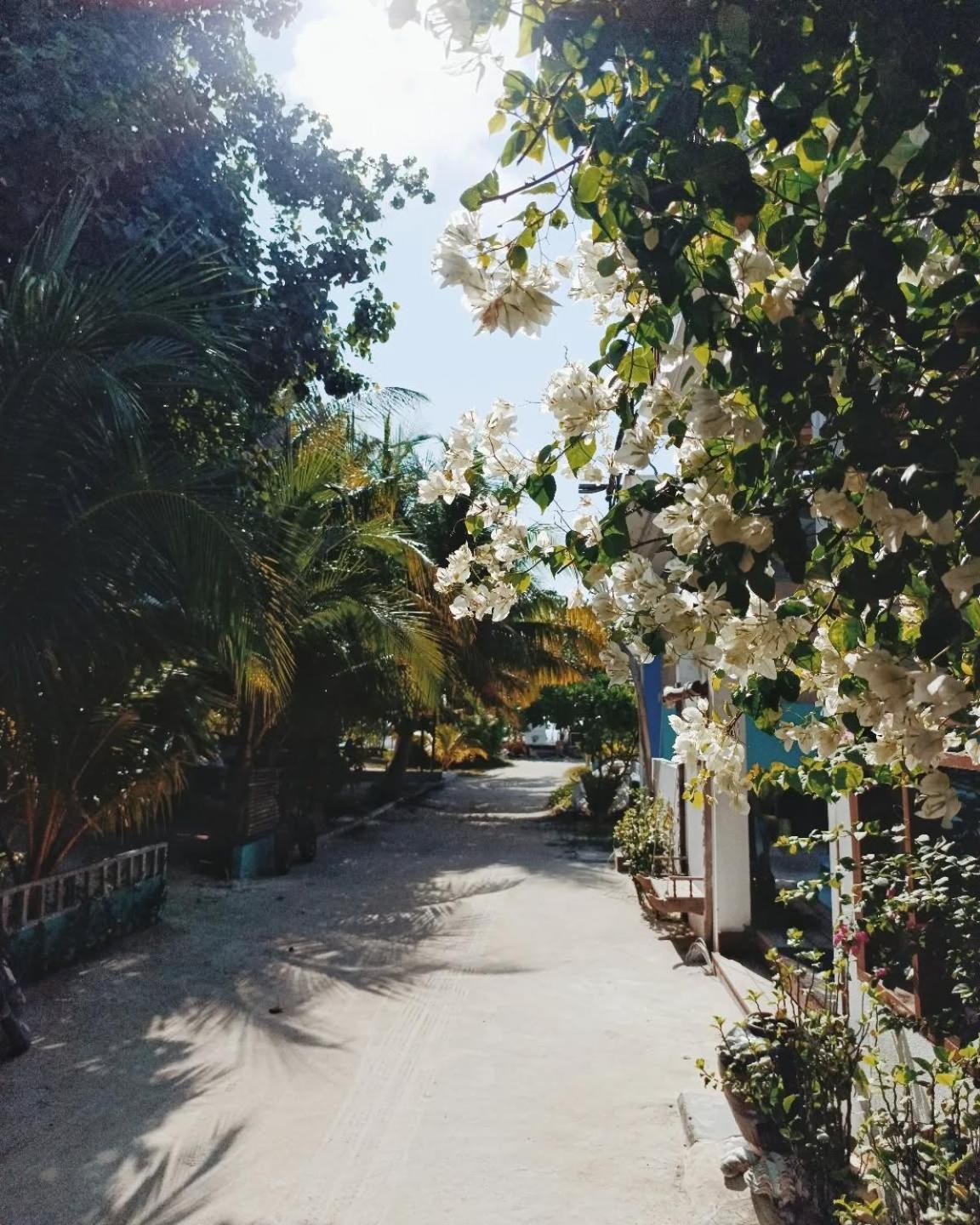 Kudhi Boli Beach House Thulusdhoo ภายนอก รูปภาพ