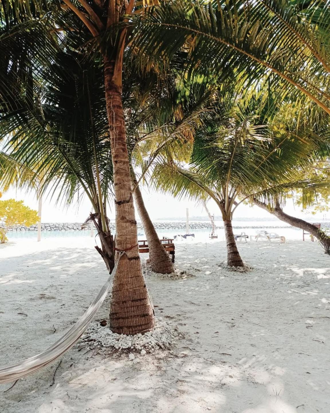 Kudhi Boli Beach House Thulusdhoo ภายนอก รูปภาพ
